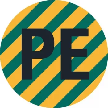 HEIN 172023 etichetta per identificazione conduttori in PE, PET, autoadesiva, giallo/verde, 4 x 12 mm, 1000 etichette per rotolo