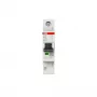 ABB SX201-B40 Flexline interruttore automatico magnetotermico 40A 1P car. B 6kA 2CDS251003R0405