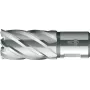 BDS fresa a corona HSS 14 mm x 30 mm attacco Weldon KBK-014
