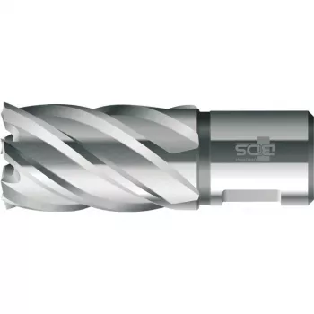 BDS fresa a corona HSS standard 12,0 mm diametro di taglio, 30 mm profondità di taglio, attacco Weldon (KBK-012)