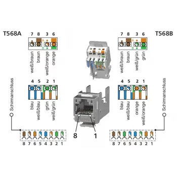 METZ BTR 130910D1APLKE presa di connessione keystone da parete, 1 porta, bianco puro