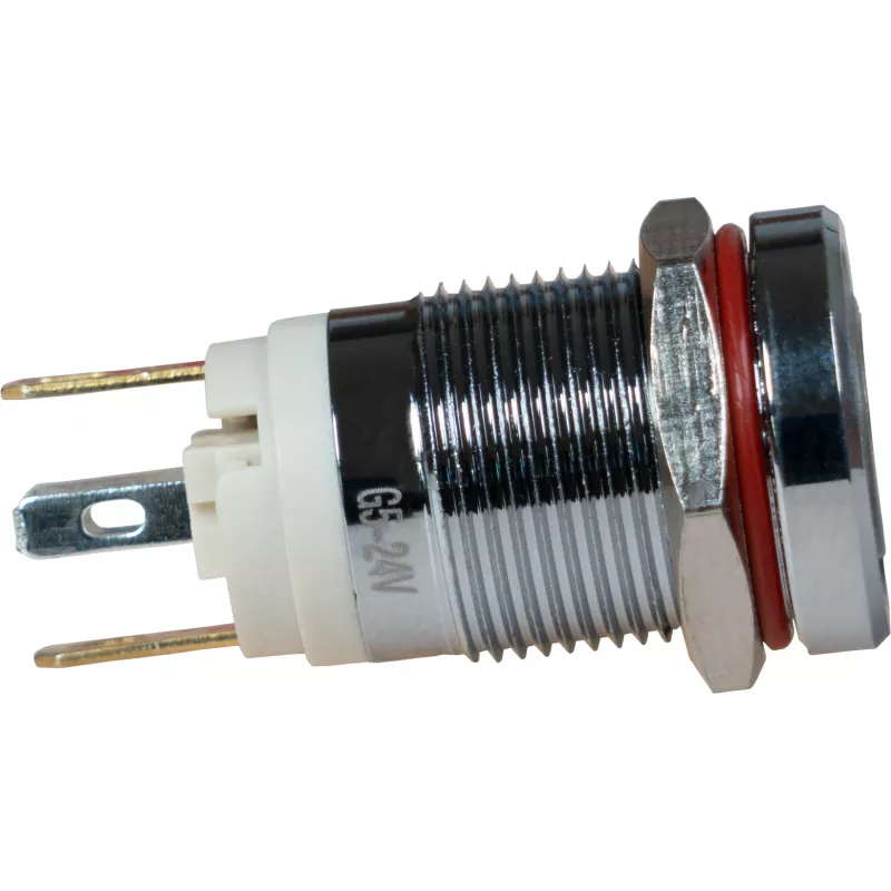 JOY-IT Button12E-01 Pulsante a ritenuta antieffrazione, verde, 12mm, IK10, IP67
