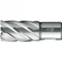 BDS fresa a corona HSS 20 mm profondità di taglio 30 mm attacco Weldon (KBK-020)