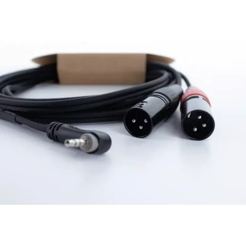 Cordial EY 1 WRMM cavo adattatore a Y XLR jack TRS 3,5 mm a 2x connettore XLR 1 m nero 14873