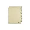 ELBA fogli separatori per registro, stampati su entrambi i lati, camoscio, 240 x 300 mm, cartone kraft 200 g/m², foratura rinforzata (06455)