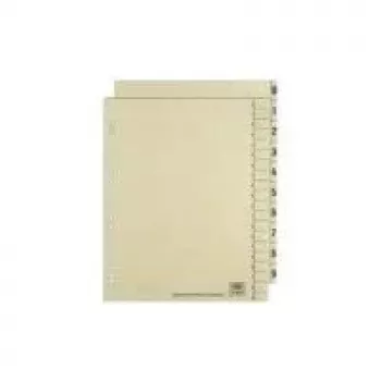 ELBA fogli separatori per registro, stampati su entrambi i lati, camoscio, 240 x 300 mm, cartone kraft 200 g/m², foratura rinforzata (06455)