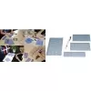 WEDO set di stencil per lettere, 5 mm, 10 mm, 20 mm, trasparente, astuccio in plastica (70 12)