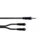 Cordial 14883 cavo adattatore Y stereo 3,5 mm, 1x jack maschio a 2x jack femmina, 0,3 m, nero