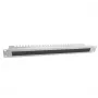 IT-BUDGET pannello passacavi 19 pollici con spazzola e barre antistrappo, 1U, grigio chiaro 90ITBKDFPKL1HEG