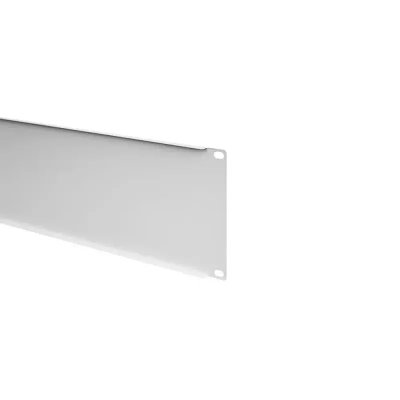 IT-BUDGET Pannello cieco rack 19