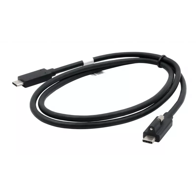 EXSYS Cavo USB 3.2 Gen 2x1 USB-C 1m nero con fissaggio a vite singolo (EX-K1595V-1.0)