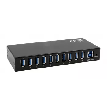 EXSYS EX-11290HMS Hub USB 3.2 Gen 1 10 porte con alimentatore 12V/5A