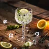 GRAMONTY Premium 6665 bicchieri long drink 540 ml, 12 pz.