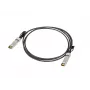 Lanberg cavo SFP+ Direct Attach 2m nero 10Gbps rame
