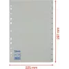 LEITZ Esselte rubrica in plastica, numerata 1-12, A4, bianco, foratura universale, 10 set (100153)