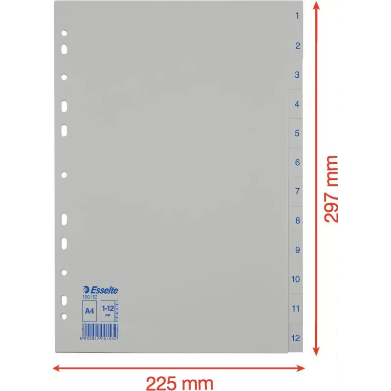 LEITZ Esselte rubrica in plastica, numerata 1-12, A4, bianco, foratura universale, 10 set (100153)