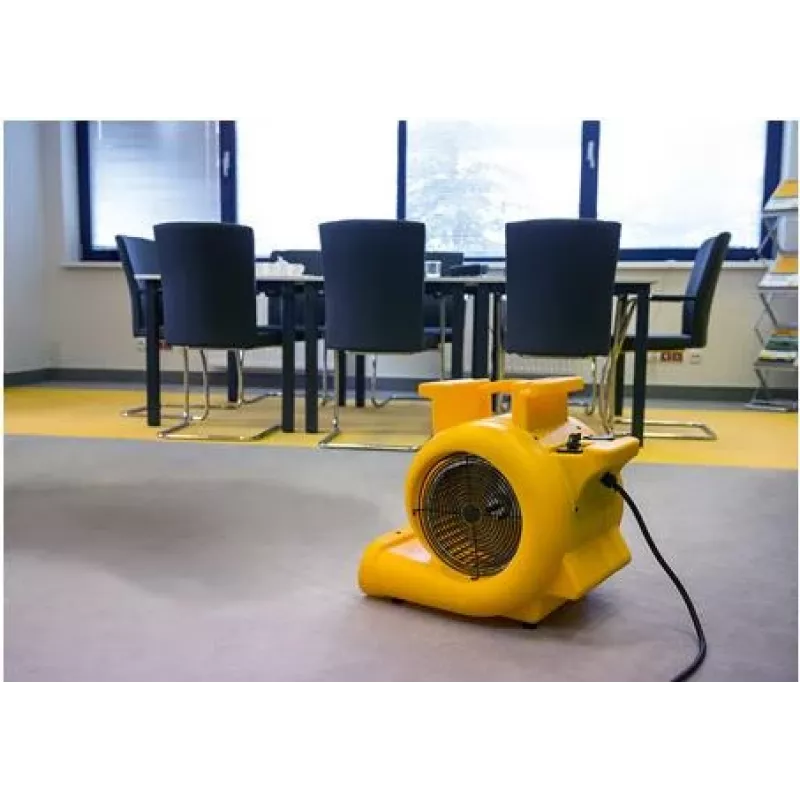 Master Climate Solutions CD 5000 asciugatore d'aria a pavimento, flusso d'aria 2640 m³/h, pressione statica max. 500 Pa, 3 velocità ventola, 1100 W, nero 4604051