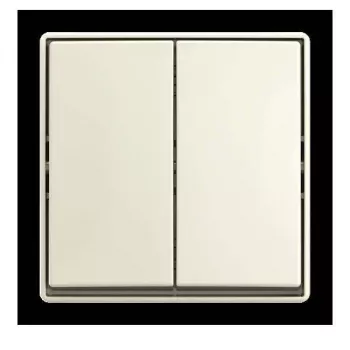 BUSCH-JAEGER interruttore a bilanciere, da parete, deviatore, 10 AX, 250 V AC, bianco alpino 2TKA00005524