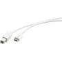 Kramer Electronics C-USB/CB-6 cavo USB 2.0, connettore maschio USB-C a connettore maschio USB-B, 1,8 m, bianco 96-02357106