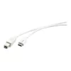 Kramer C-USB/CB-10 cavo USB 2.0, connettore maschio USB-C a connettore maschio USB-B, 3 m, bianco 96-02357110