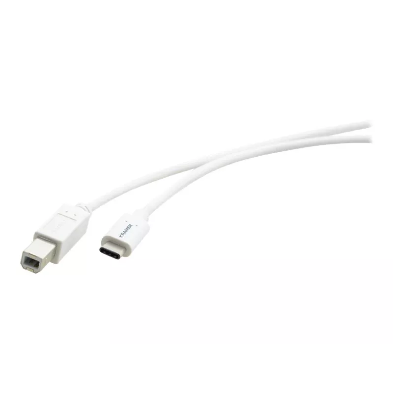 Kramer C-USB/CB-10 cavo USB 2.0, connettore maschio USB-C a connettore maschio USB-B, 3 m, bianco 96-02357110