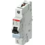 ABB S401E-B16 Interruttore automatico unipolare 16 A con curva B 2CCS551001R0165