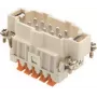 ILME CSHM10 inserto maschio 10P+PE argento SQUICH 16A 500V misura 57.27