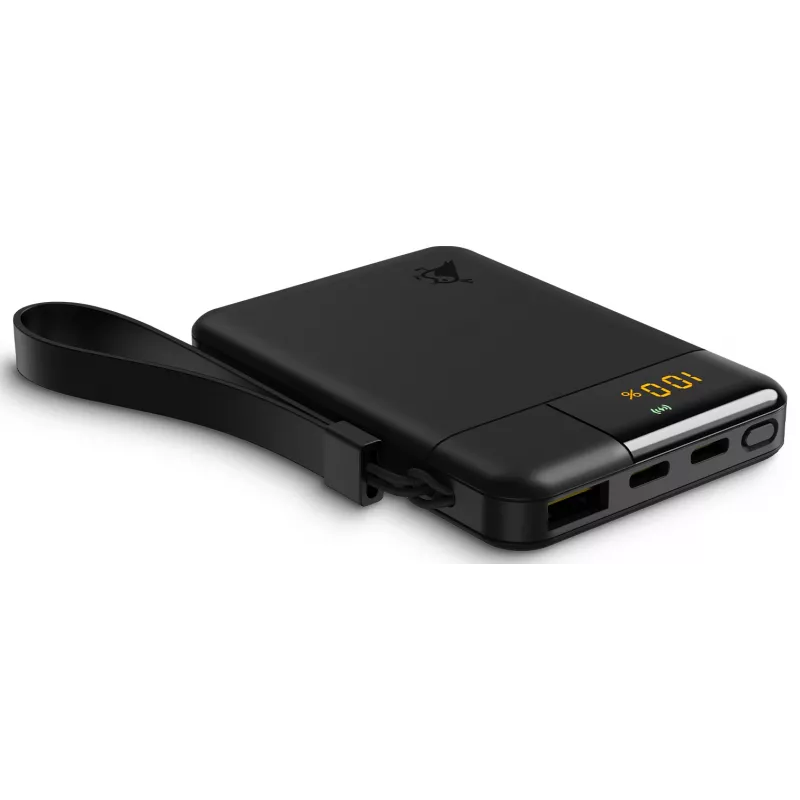 Aqiila Powerbird B5 Powerbank 12W nero 5000 mAh (AQPBPBIB5BBK935)