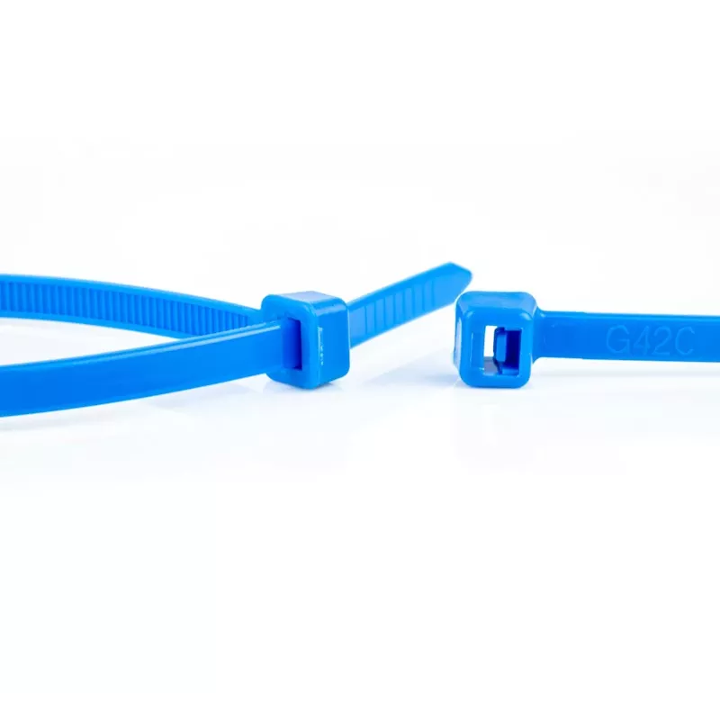WKK fascette blu 100 x 2,5 mm, 100 pezzi, poliammide 6.6 11032671