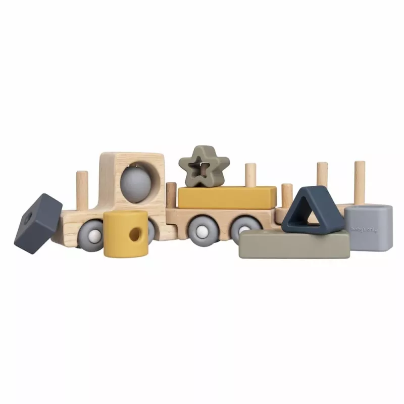 Baby's Only trenino in legno, 10+ mesi, Earth