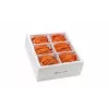 Wirewin SLIM-LS-K6A 2.0 OR 60 cavo patch Ethernet Slim Cat.6A U/FTP, 2 m, arancione, confezione da 60