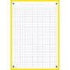 Oxford schede, DIN A5, a quadretti, bianco/giallo, 210 g/m², 2 fori, bordo colorato, 100 schede 400100550