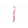 BIC Miss Soleil Rasoi usa e getta, 4 pz 8897253