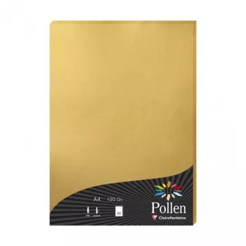 Clairefontaine Pollen A4 Oro 120gsm Carta - 25 fogli 4200C