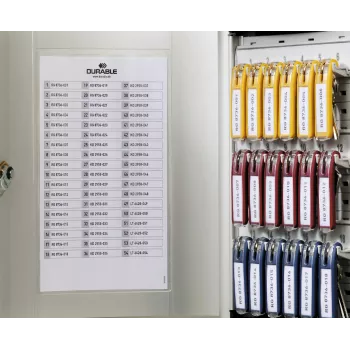 DURABLE KEY BOX 54 armadietto portachiavi con serratura a cilindro, grigio chiaro, acciaio, montaggio a parete 195323