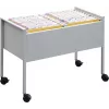 DURABLE Carrello portafascicoli sospesi ECONOMY DUO 100 A4, grigio chiaro 308210