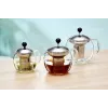 Ritzenhoff & Breker ENJOY teiera in vetro, 1,1 L, con filtro per tè in acciaio inox 820799