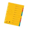 Herlitz registro in cartoncino A4 formato grande, 10 sezioni, linguette bianche, 5 colori, cartoncino riciclato manila, preforato con stampa organizzativa 300006188