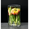 Vaso cilindrico in vetro per fiori Ritzenhoff & Breker AMALIA, trasparente, diametro 140 mm, 1 pezzo 823882