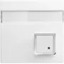 Busch-Jaeger Placca centrale bianco alpino per inserti UAE/TAE 1582-0-0397