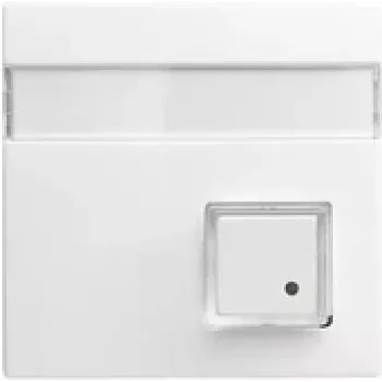 Busch-Jaeger Placca centrale bianco alpino per inserti UAE/TAE 1582-0-0397