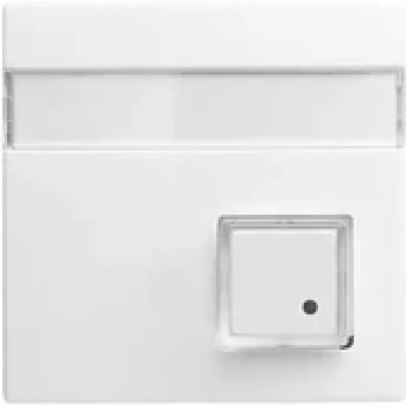 Busch-Jaeger Placca centrale bianco alpino per inserti UAE/TAE 1582-0-0397