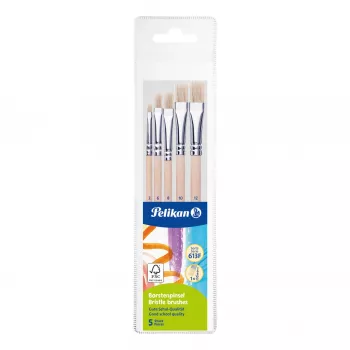 Pelikan Set di pennelli starter, 5 pennelli in setola con manici in legno, varie dimensioni, scatola portapennelli trasparente 300008263