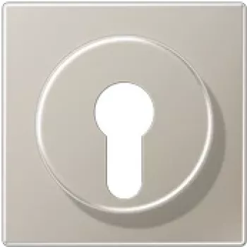 JUNG ES 2928 copertura per interruttore a chiave con protezione antimanomissione, serie LS, acciaio inox