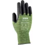 Uvex Guanti antitaglio C500 M Foam taglia 8 6049808