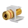 Rutenbeck adattatore di collegamento per altoparlanti Keystone KMK-LS, morsetti a vite, nero/rosso, senza utensili 17000608