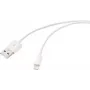 Renkforce cavo USB 2.0 USB-A a Apple Lightning 1m bianco opaco RF-5724084