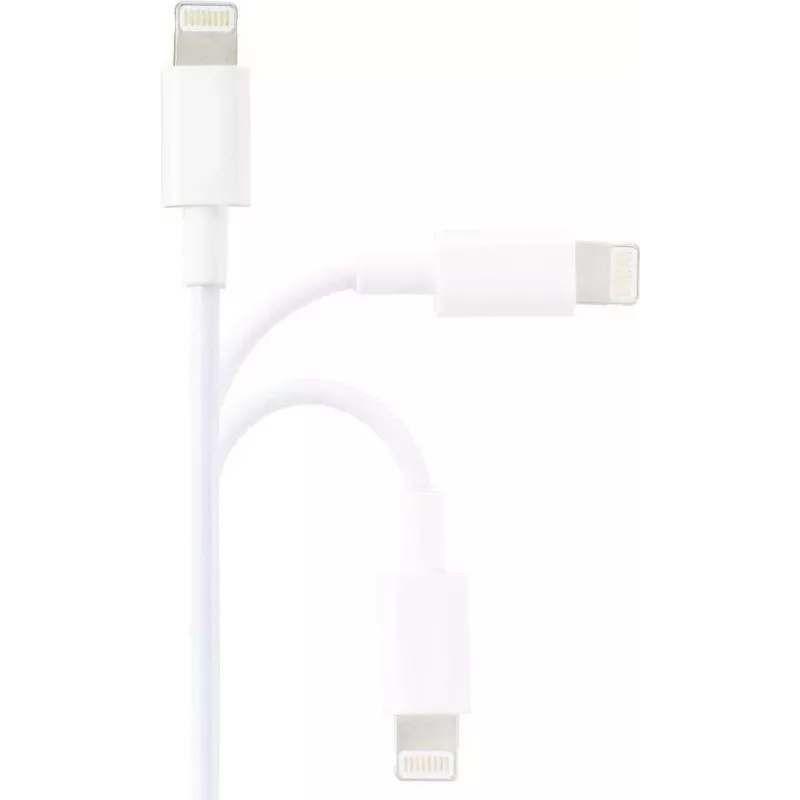 Renkforce cavo USB 2.0 USB-A a Apple Lightning 1m bianco opaco RF-5724084