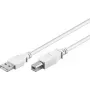 Wentronic 96186 Cavo USB 2.0, connettore USB-A maschio a USB-B maschio, 1,8 m, bianco