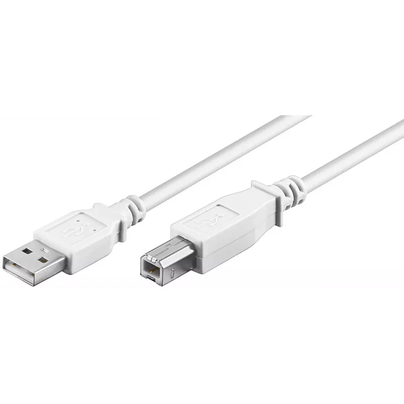 Wentronic 96186 Cavo USB 2.0, connettore USB-A maschio a USB-B maschio, 1,8 m, bianco